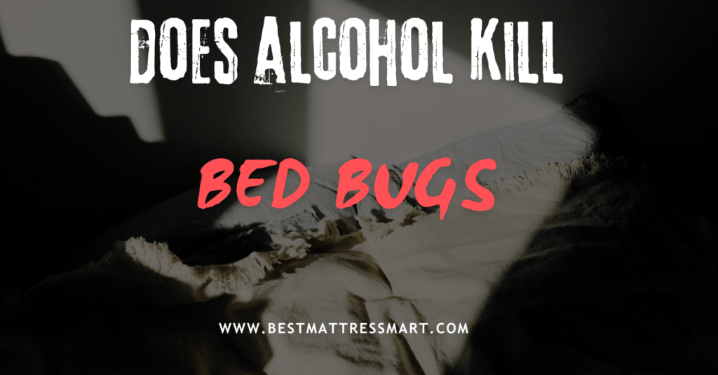 does alcohol kill bed bugs